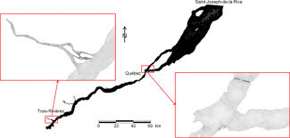 Hydrodynamic Modeling Of The St Lawrence Fluvial Estuary I