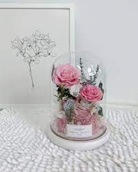 Preserved flowers in glass dome singapore. Flower Glass Dome With Fairy Lights Premium Preserved Rose Glass Dome W Fairy Lights Gift Last Up To 3yrs Singapore Seller Lazada Singapore