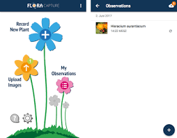 13 marzo, 2017 de apk. Flora Capture Your Digital Plant Collection Apk Download For Android Latest Version 2 4 1 Com Floraincognita App Floracapture