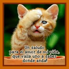 Este album de imagenes chidas para perfil de whatsapp con 8 fotos e imágenes no tiene descripción. Imagenes Para Perfil De Whatsapp Chidas Sin Frases Bonitas