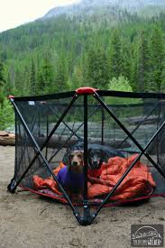 Larger sitting spaces, adjustable armrests, even the ability to recline. Dog Camping Gear 10 Must Have Items For Your Next Adventure
