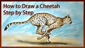 Then, draw the body and tail using curved lines. How To Draw A Cheetah Step By Step Youtube
