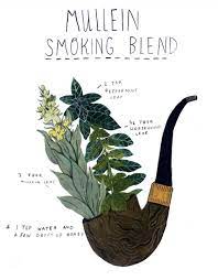 How To Craft Your Own Herbal Smoking Blends