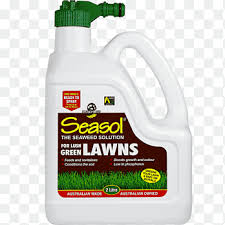 Add as much seaweed as will fit and leave to soak. Seaweed Fertiliser Png Images Pngegg