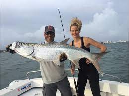 The life span of a tarpon can be in excess of 50 years. For Tarpon