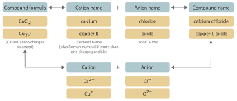 Array of alternating positive and negative ions, their formula is the simplest. Naming Ionic Compounds
