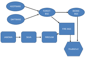 Все про летнее обновление free fire 2021 | фри фаер update 2021. The Lineage Of The Firebgcv2 Model It Is A Significant Revision Of The Download Scientific Diagram