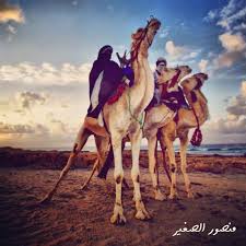 سفينة الصحراء تاجوراء طرابلس ليبيا في هذه الصورة على شواطئ طرابلس كان فيها منظر الجمال غريبا جدا وهي لا تجوب الوديان بل كانت تروم الشواطئ ففي هذه