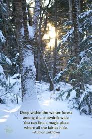 Fairy Quotes Fairy Quotes Winter Quotes Snow Quotes