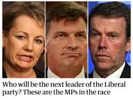 What just happened now?