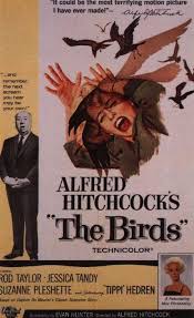 Bird Box Rotten Tomatoes Score Vintage Movie Poster The Birds Black Birds Still Creap Me Out After Watching This Movie The Birds Movie Classic Movie Posters Vintage Movies