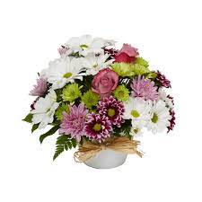 We feature well over 500 beautiful, unique bouquets and flower arrangements designed by the best kitchener florists. All Forest Of Flowers Kitchener