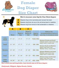 ciao chow female dog diapers adjustable absorbent easy to care for along with anti microbial layer 3 pack