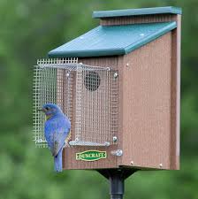 Maybe you would like to learn more about one of these? Snake Guards Can Save Your Bluebirds And Your Snakes