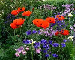 Galerie Von Inge Staack Garten Bauerngarten Staudengarten