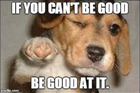 Check spelling or type a new query. Good Job Dog Imgflip