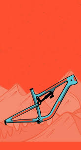 Bike Frame Protection