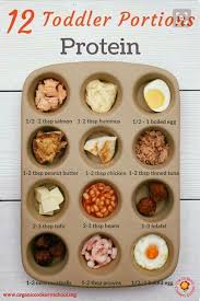 12 Toddler Protein Portions Baby Food Recipes Baby Eating Toddler Eating
