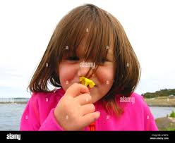 Jessie flower hi-res stock photography and images