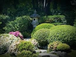 The look of the elements is very organic. Karikomi The Art Of Shearing Back Seattle Japanese Garden