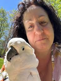 A Note To Mantis Rescue ,Father ,And Amazing Birb That Was Mantis He Was  One Of The Best Birds I've Had The Pleasure Of Meeting In This Stupid World  He Was So