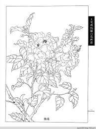 工笔画白描 春夏 二 水韵清香的日志 网易博客 diagram art map