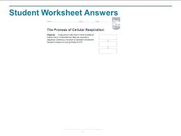 electrical engineering flowchart online charts collection