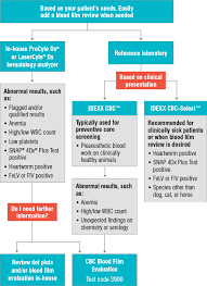 cbc options at idexx reference laboratories provide