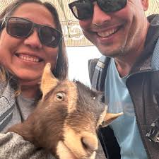 UCF Knights football schedule poster wanted