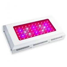 How to use discount coupons? Full Spectrum 165w Led Grow Light Hot Sale Auckland Led Grow Lights Led Grow Grow Lights