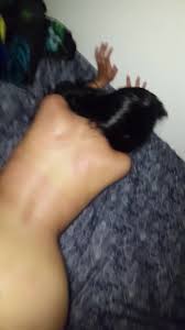 18 Yr Old Latina [Backshots]