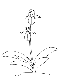 Perfetta da consegnare tra una lezione e l'altra, nei momenti di pausa o per alleggerire lo stress della giornata scolastica. Fiori Disegni Per Bambini Da Colorare