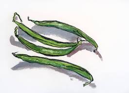 All beans reside withing the ioc container, which is responsible for managing their life cycle. Four Green Beans Drawing By Gabriele Maurus Saatchi Art