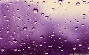 Browse our purple rain background images, graphics, and designs from +79.322 free vectors graphics. Purple Rain Wallpapers Top Free Purple Rain Backgrounds Wallpaperaccess