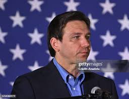 92 Peter Desantis Stock Photos, High-Res Pictures, and Images