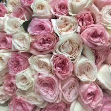330 e columbia st new. Flowers Wholesale Home Facebook