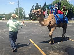A pennsylvania man named bob strange posted the video to facebook one woman, megan vogel, also captured the bizarre scene on video and shared it to twitter. Amish Paradise Bicycling With The Pennsylvania Dutch In Northern Indiana Streetsblog Chicago
