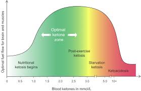 Fad diets often come with big promises of weight loss and optimum health, but at what risks? What Is Ketosis What Are The Benefits And Is It Safe Diet Doctor