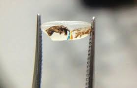 Art On A Grain Of Rice Amazing Rice Grain Drawings Art
