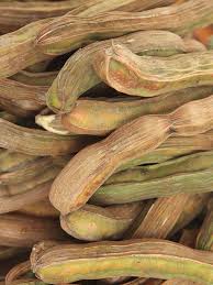 Produced by inga trees rather than hershey's or mars, ice cream beans are legumes, and like many seeds, they appeal to our sweet tooth to spread. Ice Cream Bean Tree Inga Edulis Urban Tropicals
