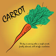 Carrot Vegetable Poster Healthy Life Phrase Stock Vector Adobe Stock