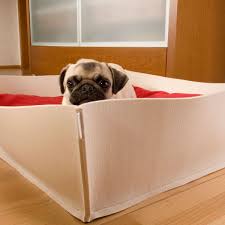 Bowl Hundebett In Filz Mit Orhopadischem Kissen Dog Bed Out Of Felt With Orthopedic Cushion Letti Per Cani Feltro Con Cusci Hunde Bett Hundebett Hunde Kissen