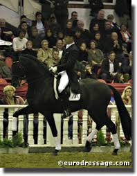 Argentinian pop balladeer sandro was born in buenos aires on august 19, 1945. Hw Farm Proudly Presents Some Information About Stallion Sandro Hit