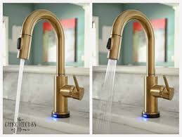 Free s/h on lighting orders over $49. The Prettiest Kitchen Faucet You Ever Did See The Chronicles Of Home Gold Kitchen Faucet Kitchen Faucet Bronze Kitchen Faucet