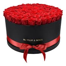 We did not find results for: Extra Large Red Endless Roses Blackbox