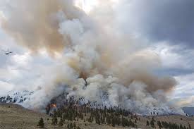 Update Rain A Welcome Sight As South Okanagan Wildfire Crews Mop Up Surrey Now Leader