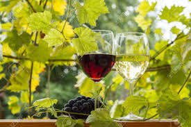 Wir verreisen, ohne koffer zu packen. Zwei Glaser Des Weissen Und Roten Wein Im Garten Lizenzfreie Fotos Bilder Und Stock Fotografie Image 22507350