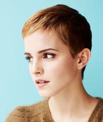 pin by hyon yi on hair emma watson short hair emma watson hair short hair styles pixie