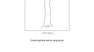 Silahkan download untuk bahan belajar download soal tes psikotes kerja diatas yang sudah lengkap dengan jawabannya pdf. Gambar Pohon Jati Psikotes