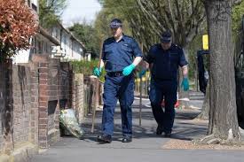 10 Aftermath Sami Sidhom Stabbing Murder Investigation Searching Stock  Pictures, Editorial Images and Stock Photos